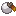 White Apricorn